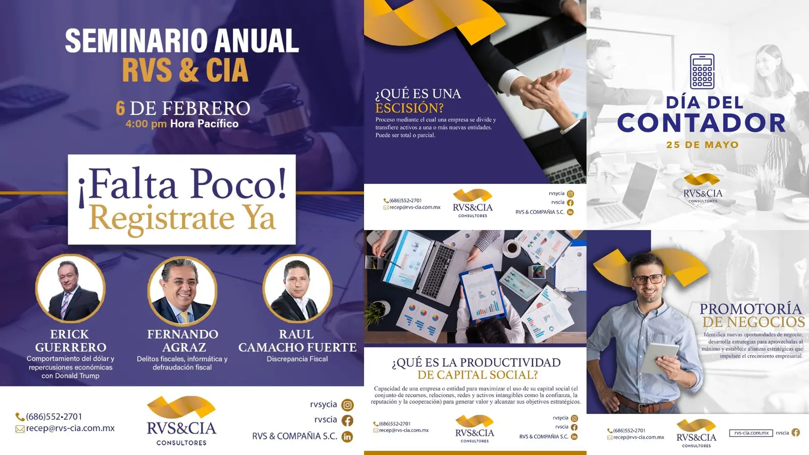 RVS y CIA consultores
